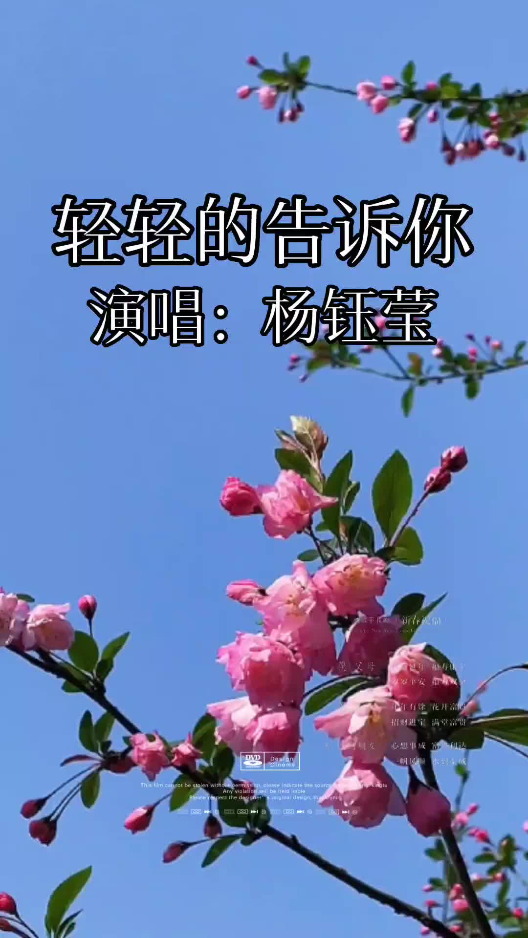 杨钰莹经典歌曲(杨钰莹经典歌曲大全)