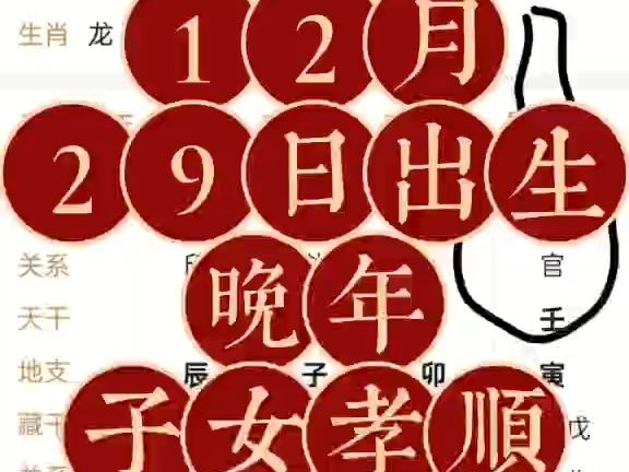 12月29日出生生辰八字哔哩哔哩bilibili