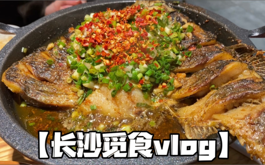 [图]【熊のvlog】长沙觅食之旅