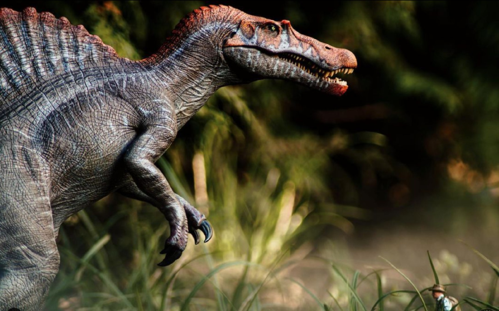 [dc2/练习]战神棘屑练习