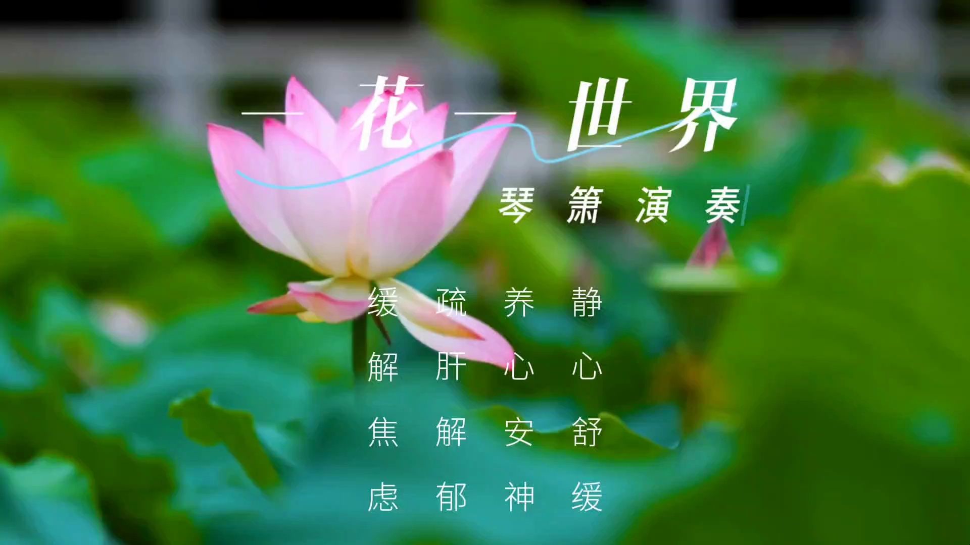 [图]【音乐静听】84琴箫演奏《一花一世界》静心舒缓，养心安神，疏肝解郁，缓解焦虑。一花一世界，一叶一菩提，一念心清静，莲花处处开。修得平静心，静观世间景