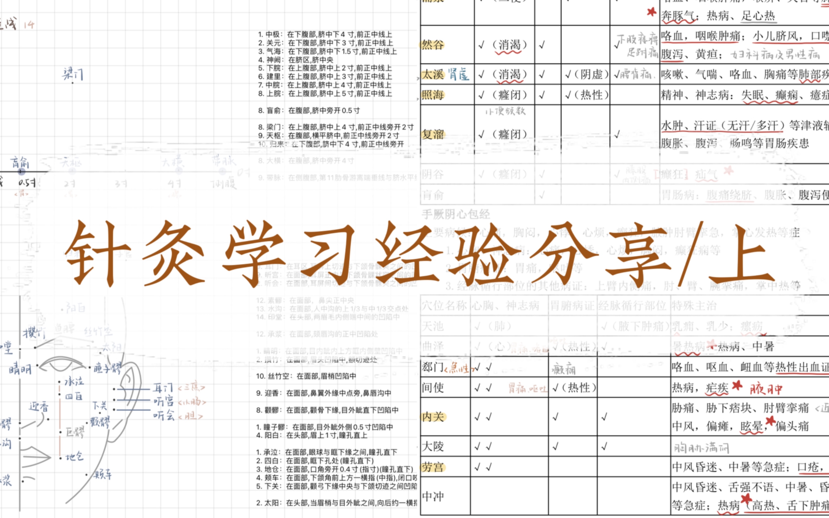 [图]『中医·钟意』 | 针灸学学习经验 （上）| 九张A4纸搞定针灸考试穴位背诵