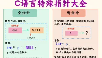 C语言特殊指针大全