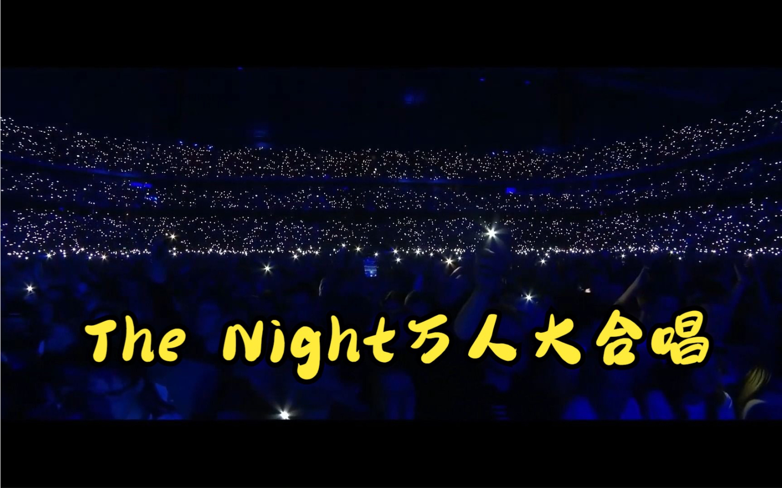 [图]A神纪念演唱会《The Nights》万人合唱现场