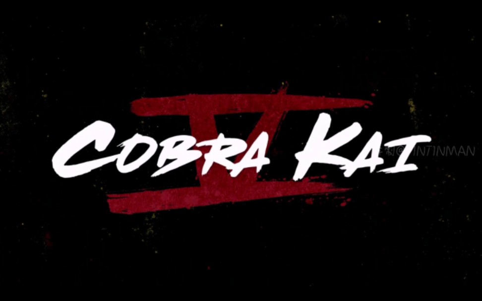 [图]【自译|中字】美剧《眼镜蛇道场 Cobra Kai》第五季 全新预告 （9月9日回归）