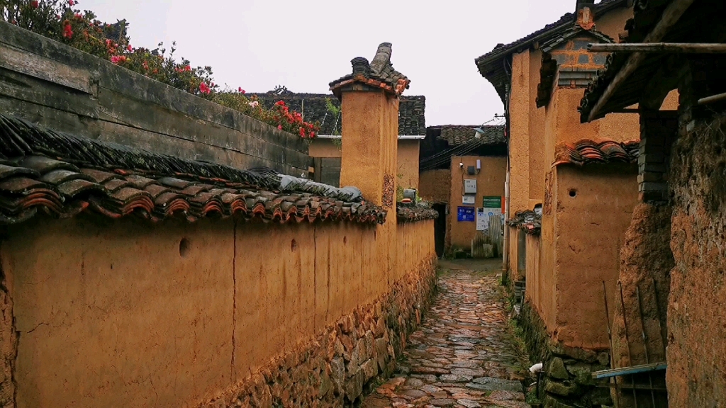 2021松阳秋季写生 沿坑岭头村