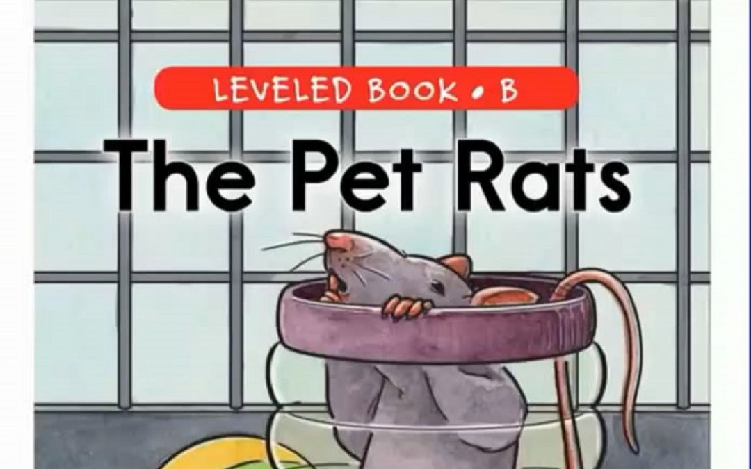 「不用词汇书背单词」Episode 265:The Pet Rats哔哩哔哩bilibili