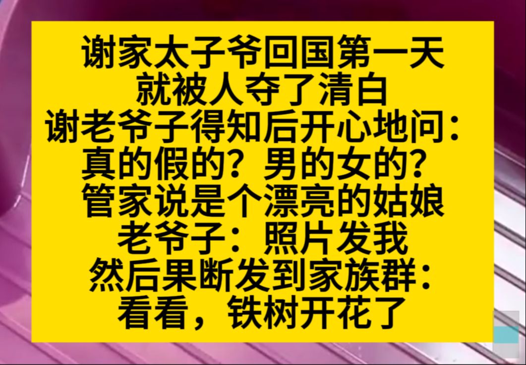 谢家太子爷回国第一天,就被人夺了清白,老爷子知道后第一反应:真的假的?男的女的?小说推荐哔哩哔哩bilibili