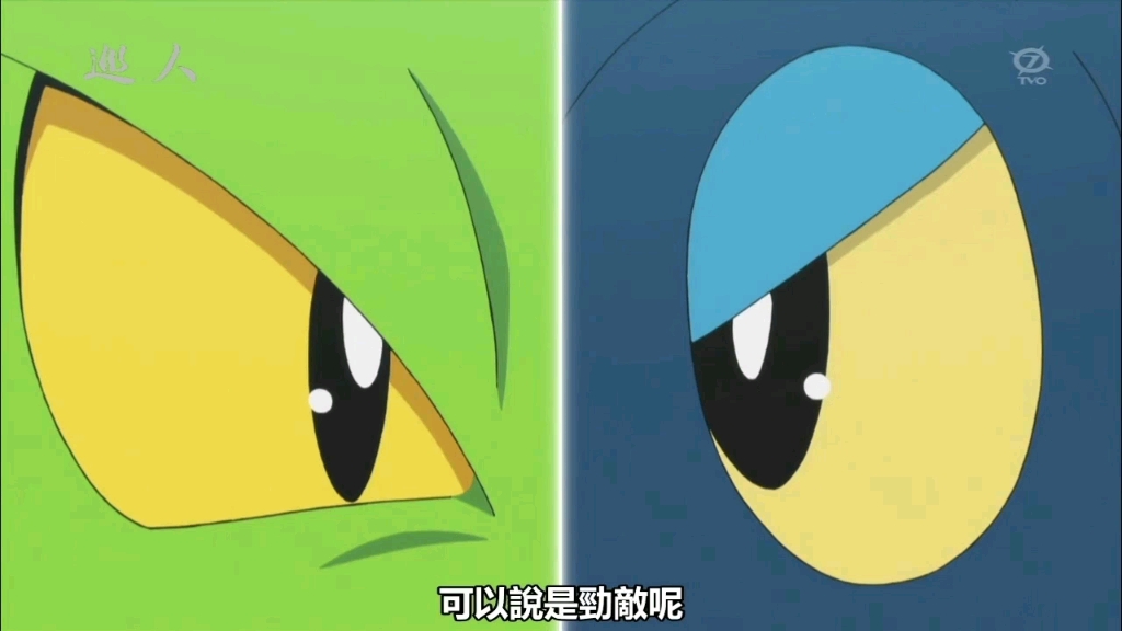 活动作品劲敌的眼神呱头蛙与森林蜥蜴