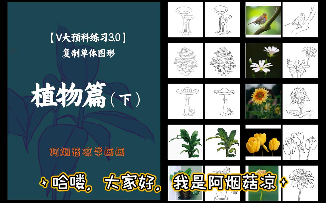 【V大预科练习3.0】植物篇下,植物花卉线稿过程,画画练习很枯燥,一定要画点自己喜欢的东西哔哩哔哩bilibili