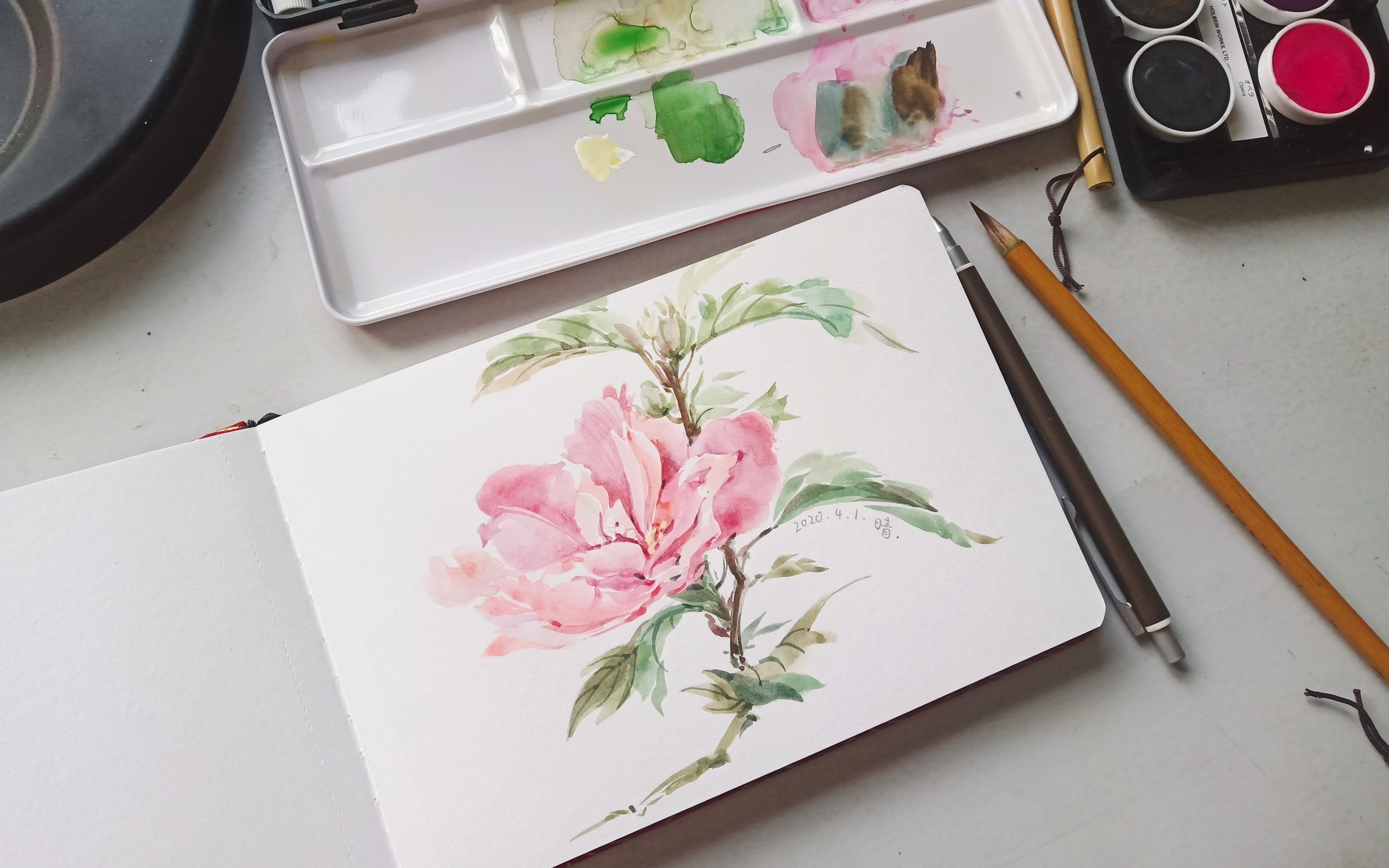 【荷尔拜因不透明水彩】画朵花吧(木槿花)_哔哩哔哩 (゜-゜)つロ 干杯