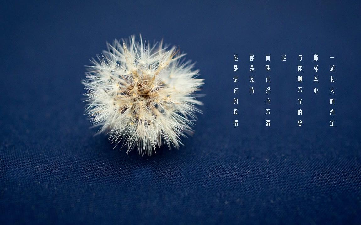 【钢琴版】蒲公英的约定 - 9号琴房 - 唯美钢琴曲_哔哩哔哩 (゜-゜)つ