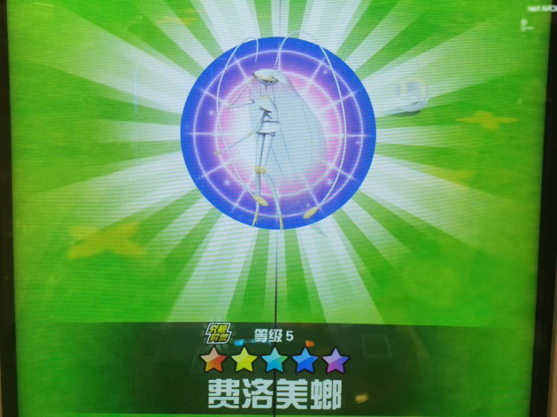 最近战果,终于有蟑螂了