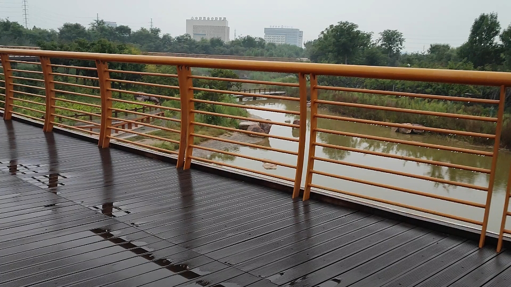 [图]小雨点，沙沙沙，落在池塘里～