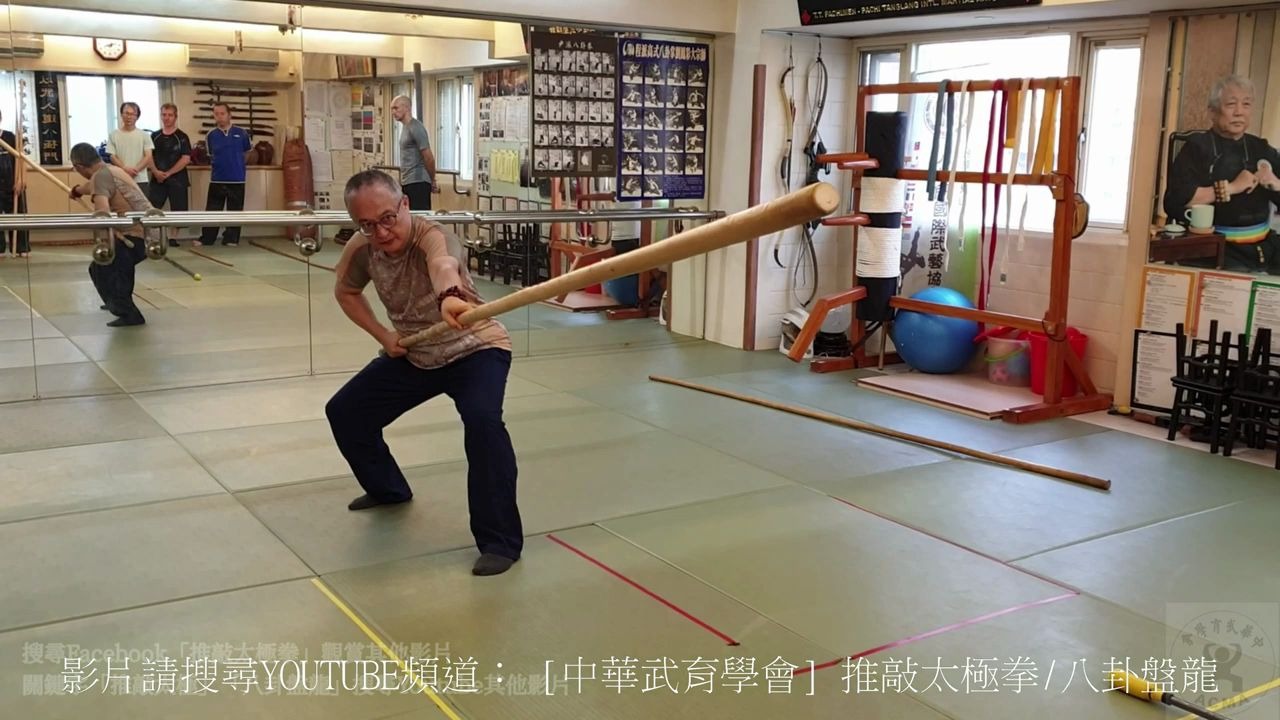 【传统枪术教学】枪棍藏身