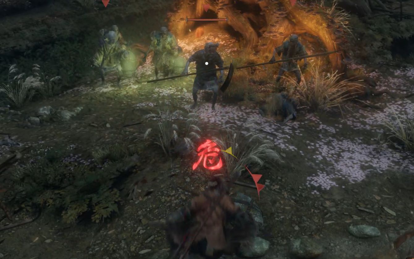 秘密森林的尽头——水生村