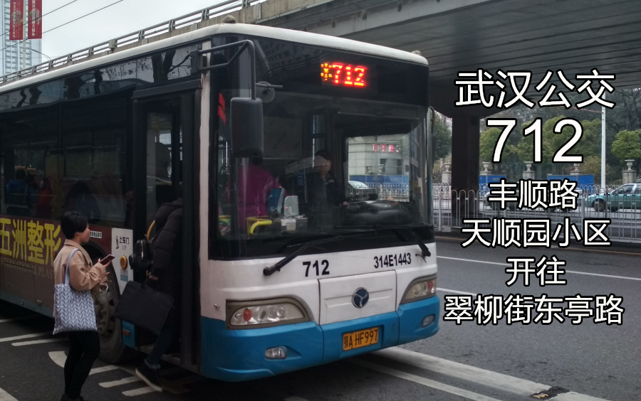 【武汉公交】712路 丰顺路天顺园小区—翠柳街东亭路 全程前方展望哔哩哔哩bilibili