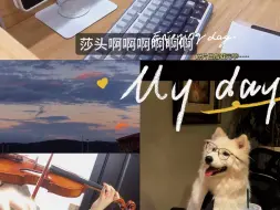 Video herunterladen: 小狗的study vlog