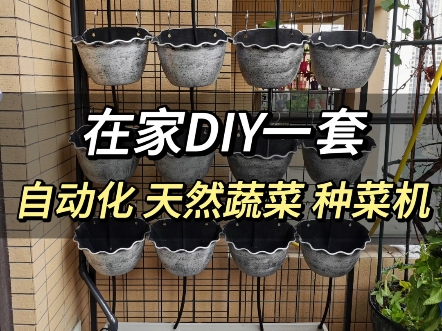 在家DIY 天然健康蔬菜 自动化种菜机哔哩哔哩bilibili