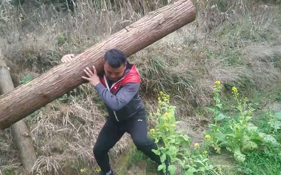 农村小伙上山搬木头,蛮力活动筋骨_哔哩哔哩_bilibili