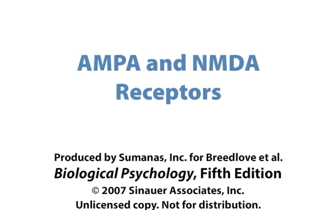 AMPA & NMDA Receptors哔哩哔哩bilibili