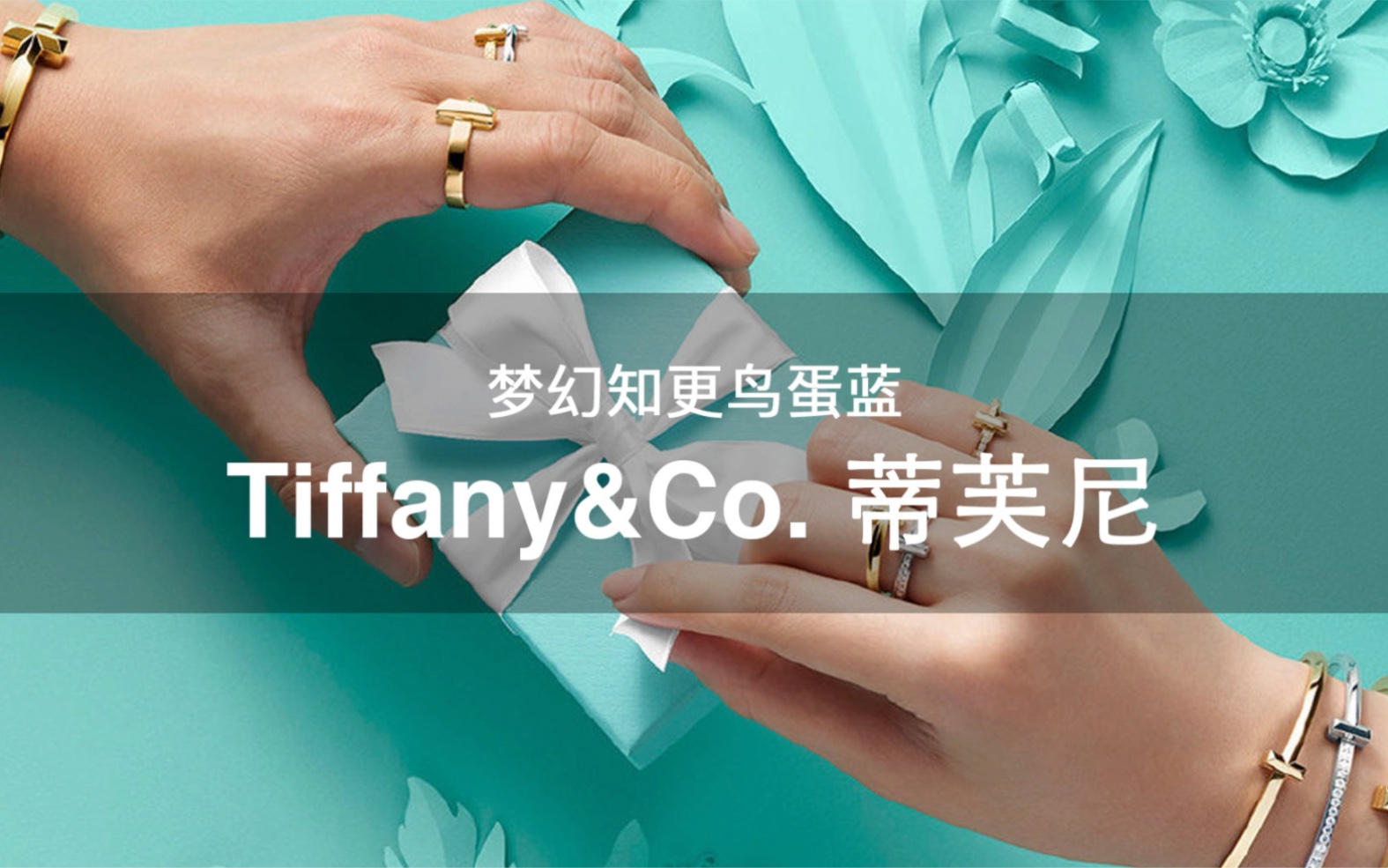 108个大牌 | 第9期 梦幻知更鸟蛋蓝 Tiffany&Co. 蒂芙尼哔哩哔哩bilibili