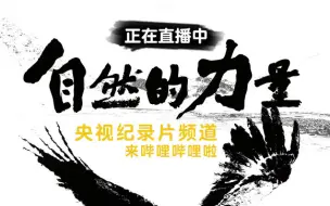 Download Video: 【纪录频道】《自然的力量》01 直播回放