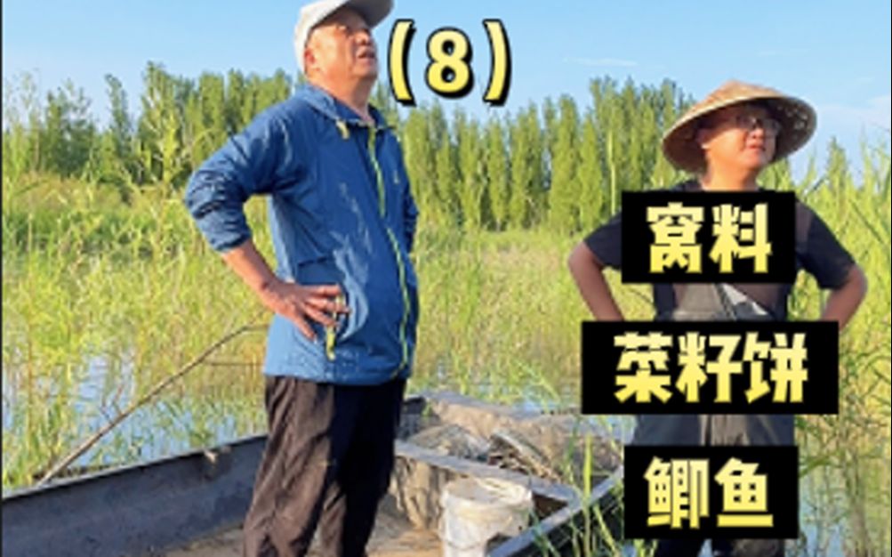 父子野钓计划:第8期,自制“菜籽饼窝料”,我和老爸决定野钓鱼儿放到自己的鱼塘,希望小小的梦想可以实现~ #菜籽饼窝料#钓鱼 #野钓哔哩哔哩bilibili