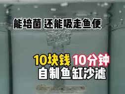 Download Video: 自制鱼缸沙滤，操作简单，10块钱10分钟，既能培养硝化细菌又能吸走鱼便，一举两得!#diy水妖精 #孔雀鱼 #过滤器 #diy过滤器#养鱼日记