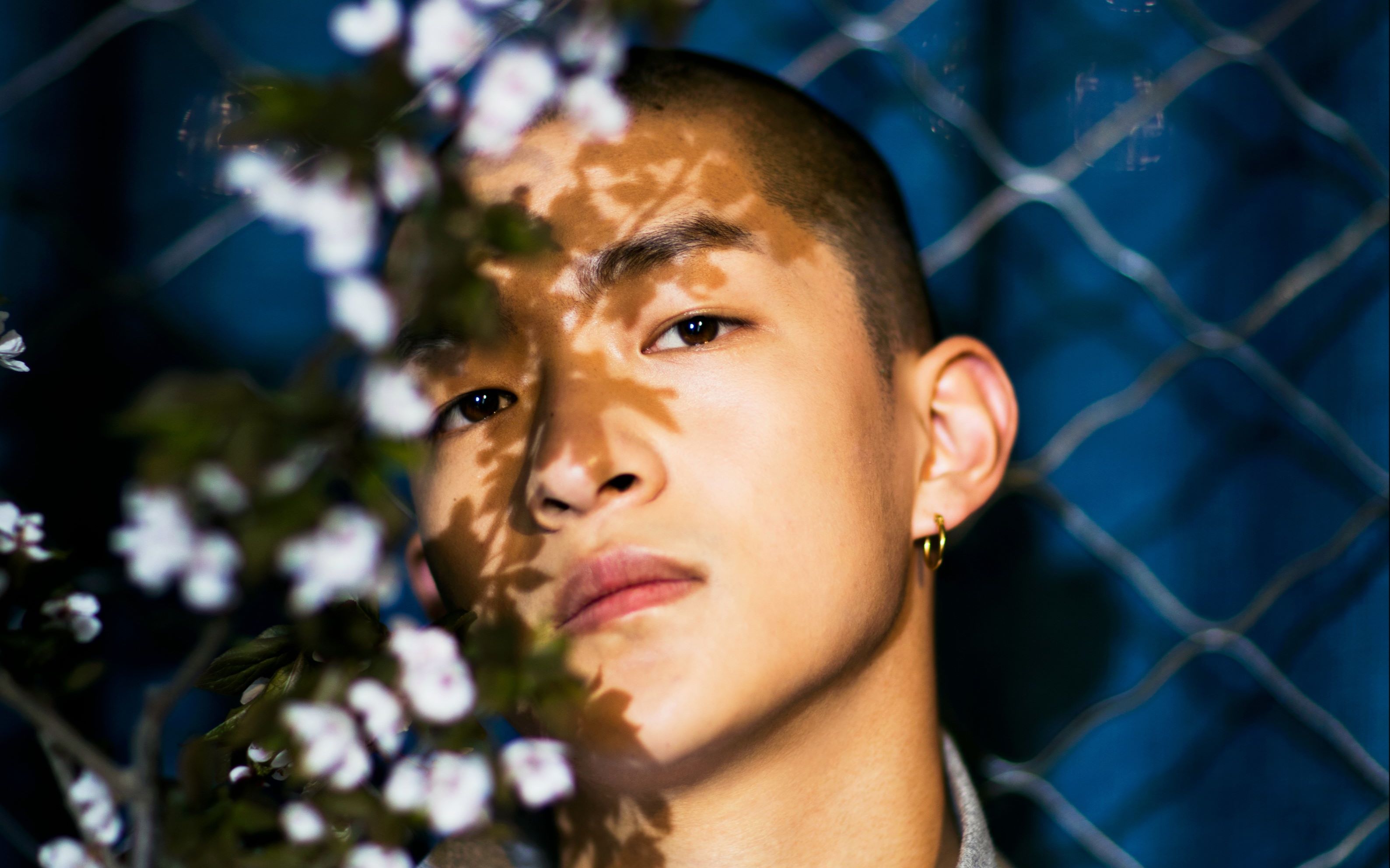 屈楚萧小资风尚那小子真拽