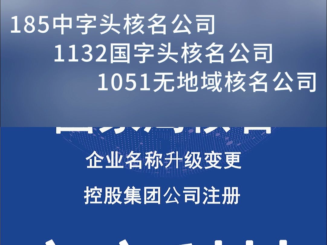 国家局核名公司