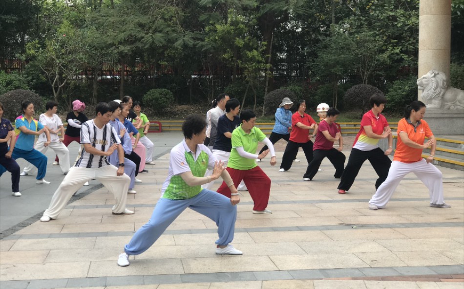 太极功夫强身心 快乐健康永相随哔哩哔哩bilibili