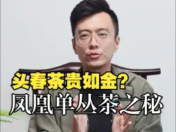 下载视频: 为什么说头春茶贵如金？