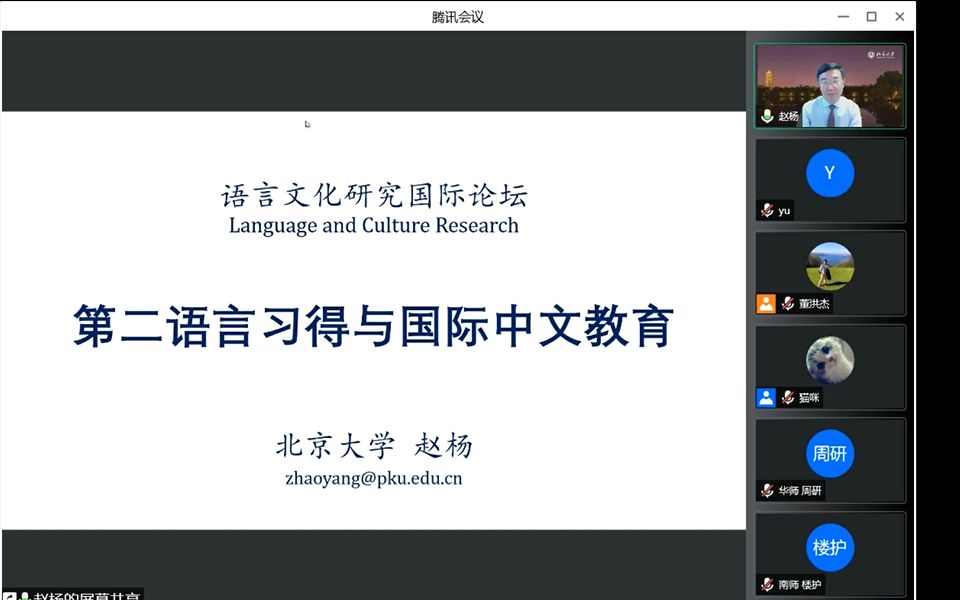 二语习得与国际中文教育 北京大学赵杨教授哔哩哔哩bilibili