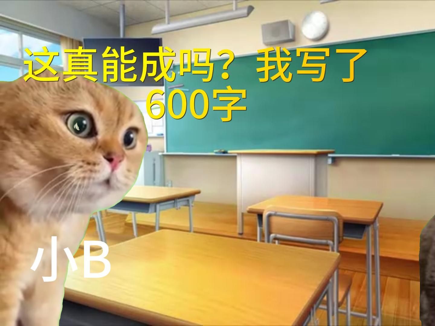 【猫meme】后续:关于我哄骗真实我的舔狗写了600字情书这件事哔哩哔哩bilibili