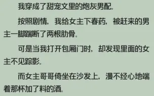 下载视频: 全文/双男主/小说主角们觉醒后/小甜饼/大家都有光明的未来