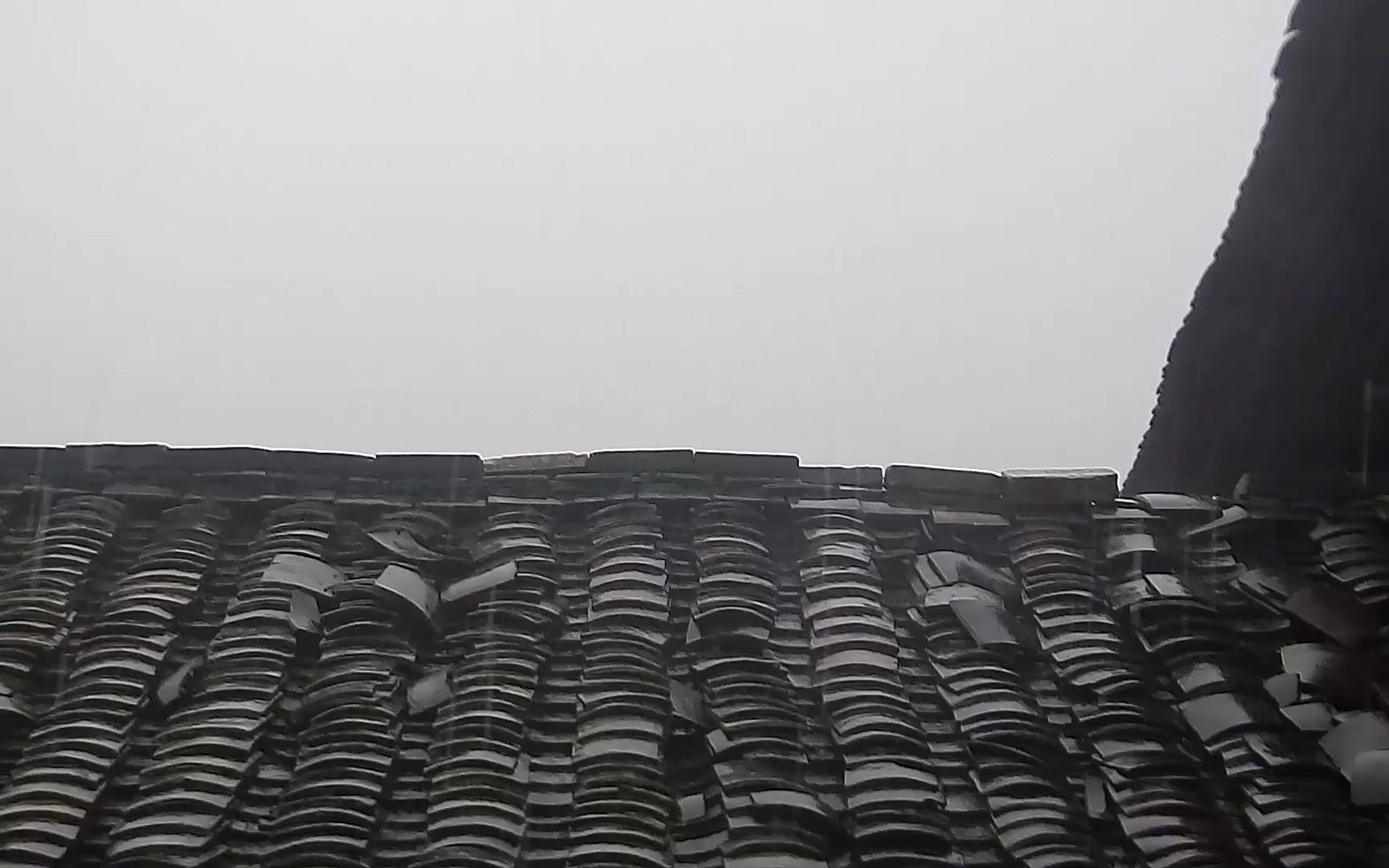 [图]满脑子十一月四日风雨大作陆游