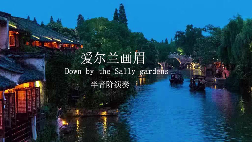 [图]【半音阶渣录】爱尔兰画眉Down by the Sally gardens