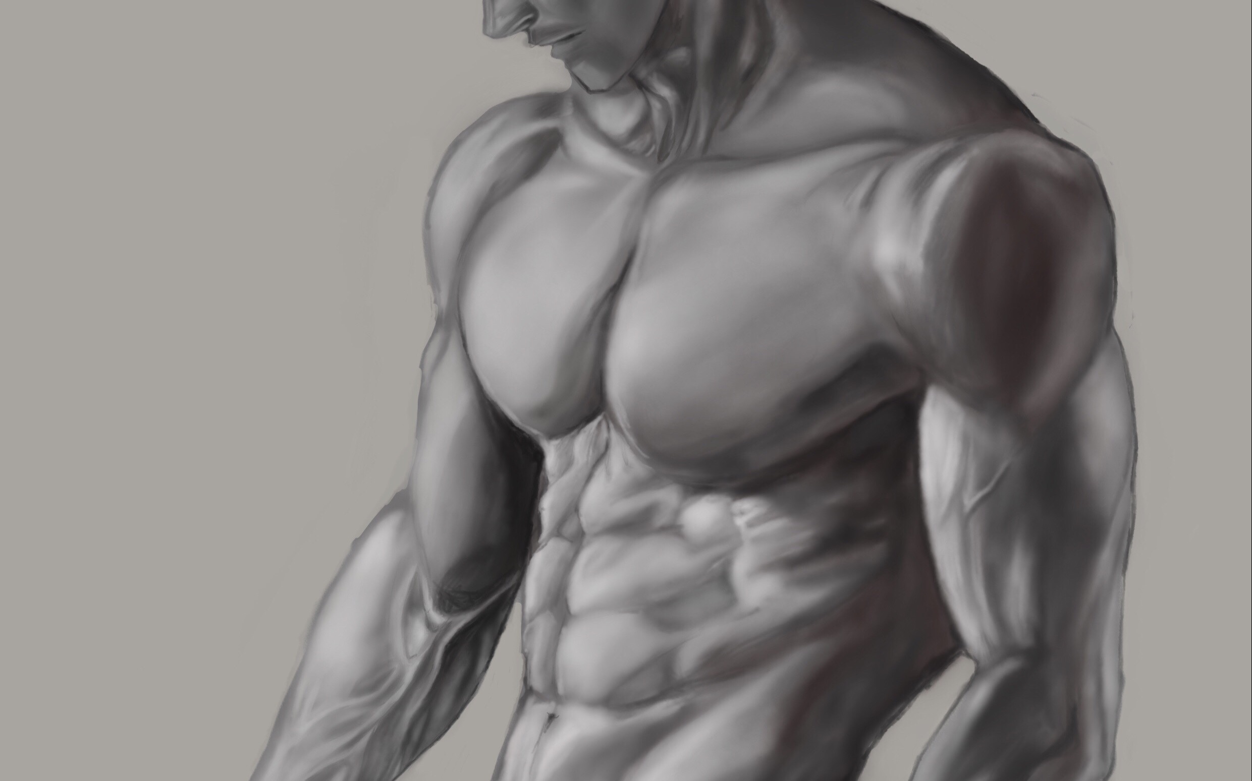 【板绘肌肉练习】原画作者aenaluck