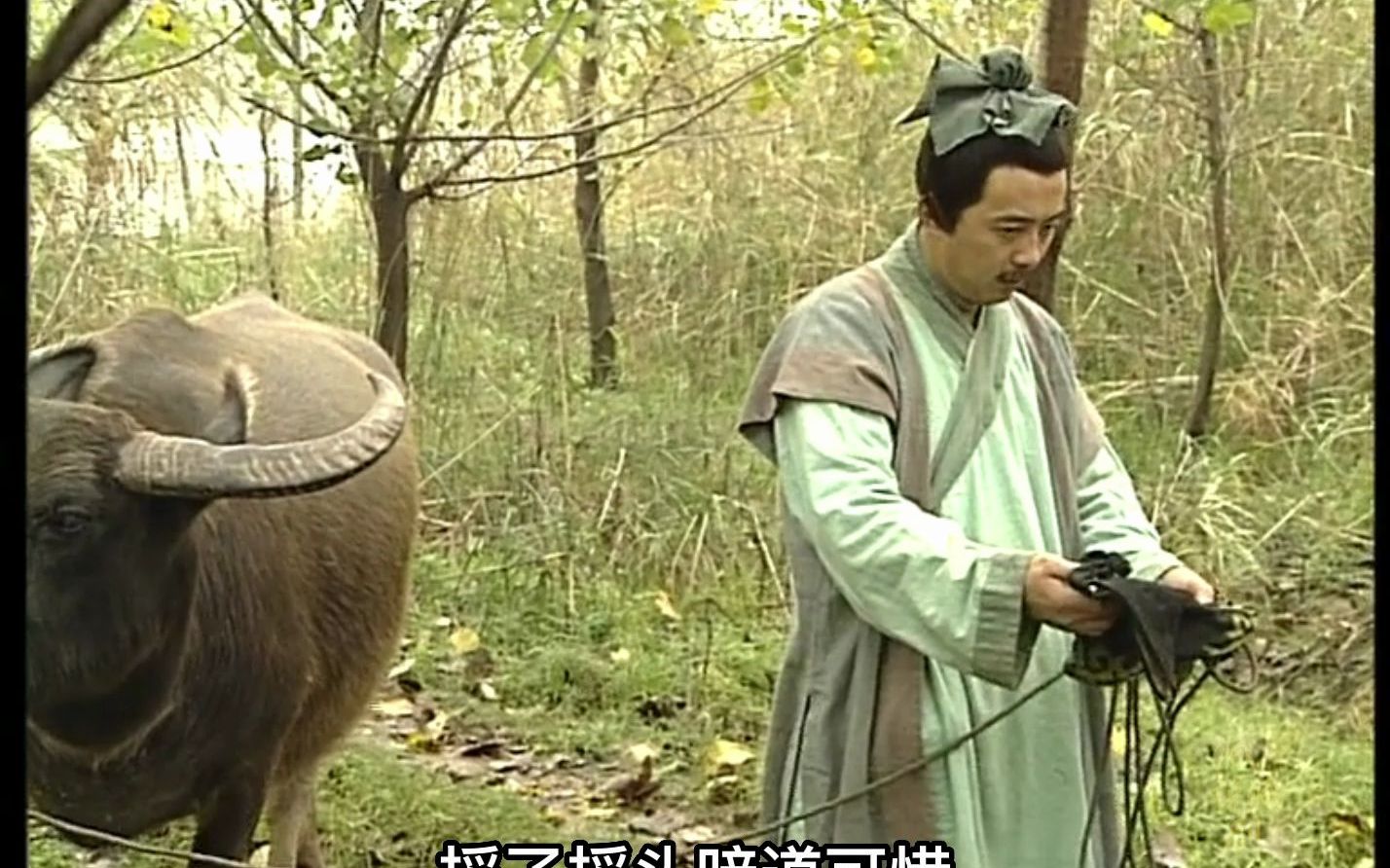 畜生啊 原视频无水印无字幕