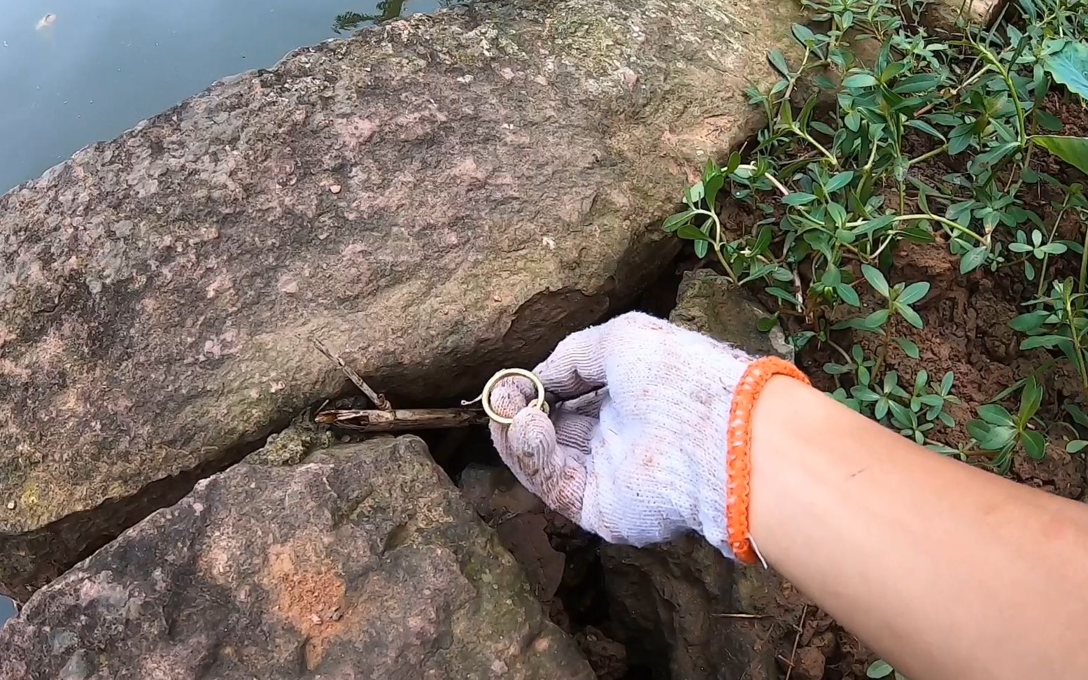 农村小伙分享钓黄鳝经验养鱼塘小水渠怎么找洞钓了一条又一条