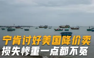 Tải video: 宁愿降价卖给美国也要放弃中国市场，如今损失惨重，后悔都赶不上