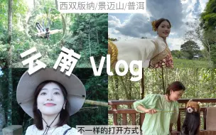 Download Video: Vlog｜不一样的云南：雨林徒步/普洱逛吃/走进景迈山｜我的精神故乡！