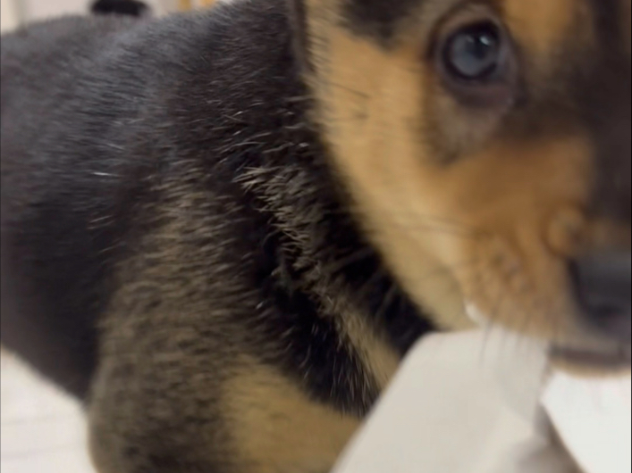 我的快乐需要你的欢乐