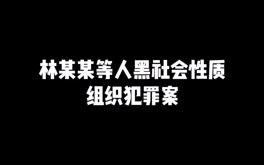 林某某等人黑社会性质组织犯罪案哔哩哔哩bilibili