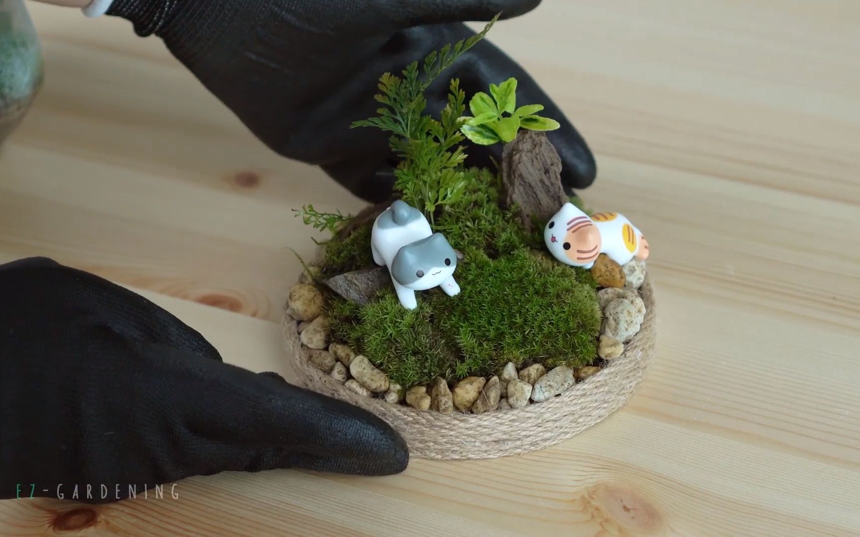 园艺几款微景观制作过程新颖不俗气清爽而新鲜