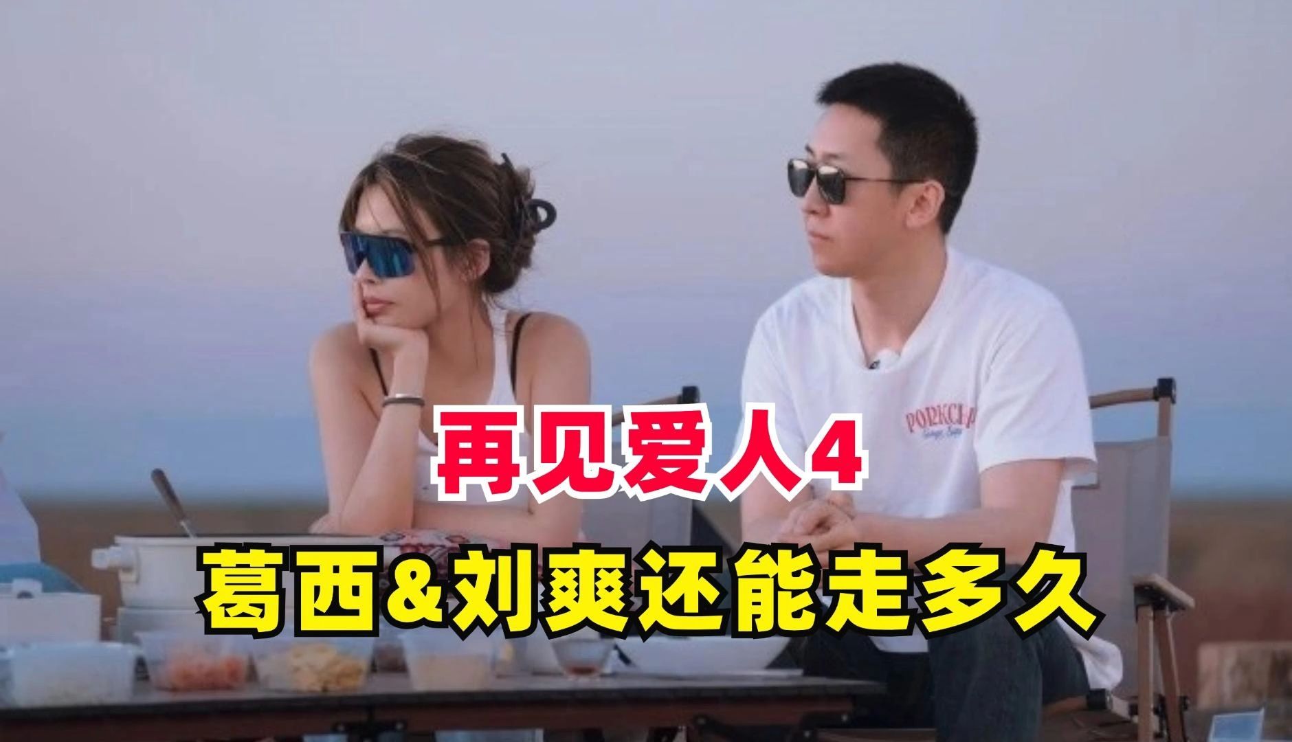 手哥刘爽&葛西:婚姻还能走多远?再见爱人4哔哩哔哩bilibili