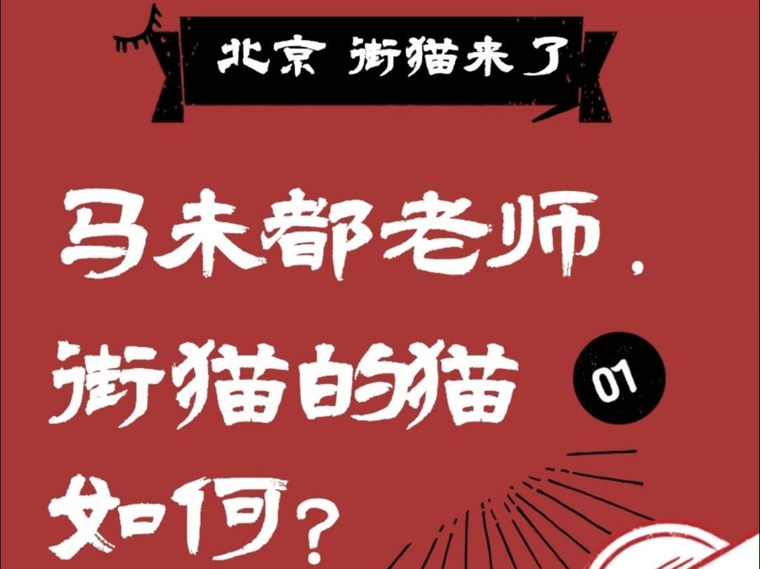 马未都老师,您说的鞭打绣球、衔蝉我们找到了哔哩哔哩bilibili