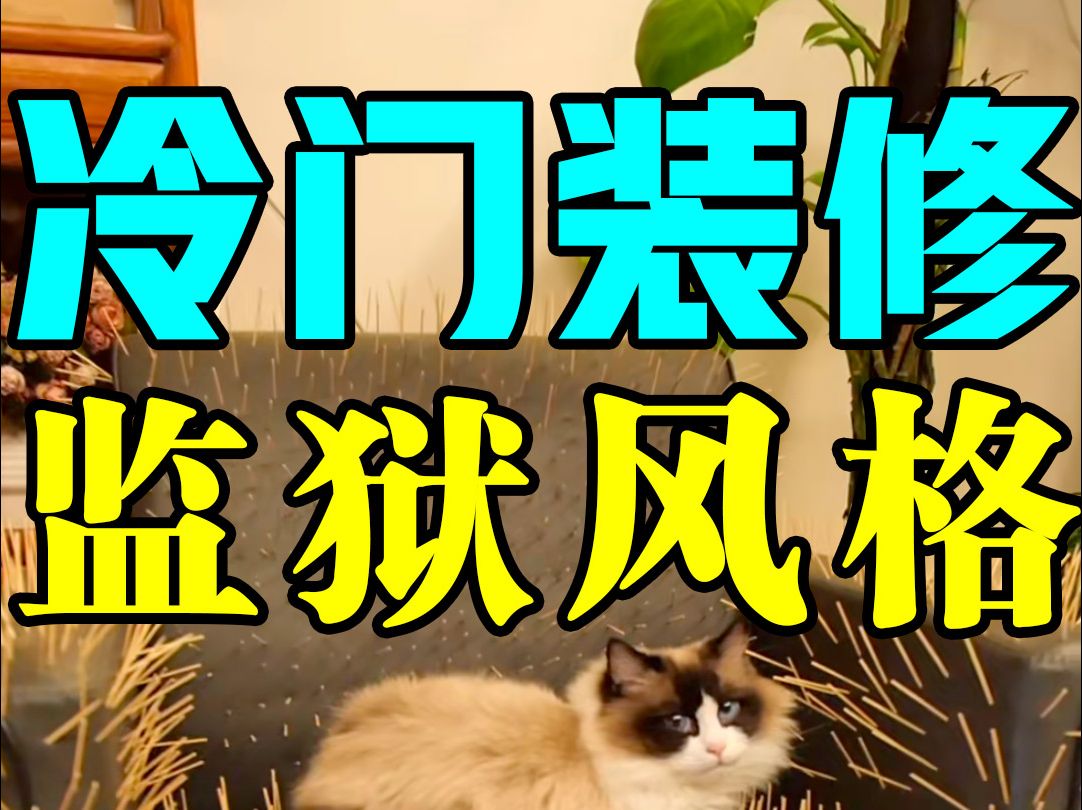 超炸裂的装修风格,这猫非要不可吗??哔哩哔哩bilibili