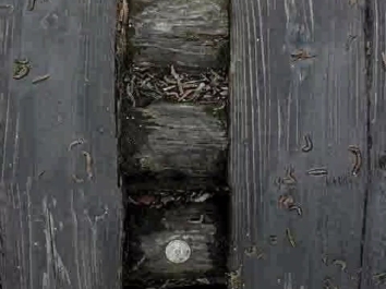 吊桥鬼图(真的!